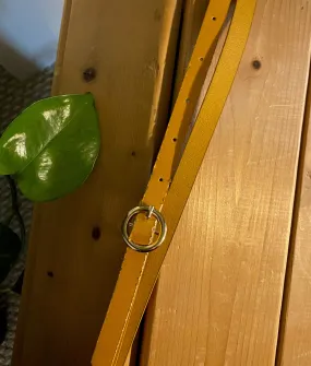 2 Thin Yellow Belt 1X